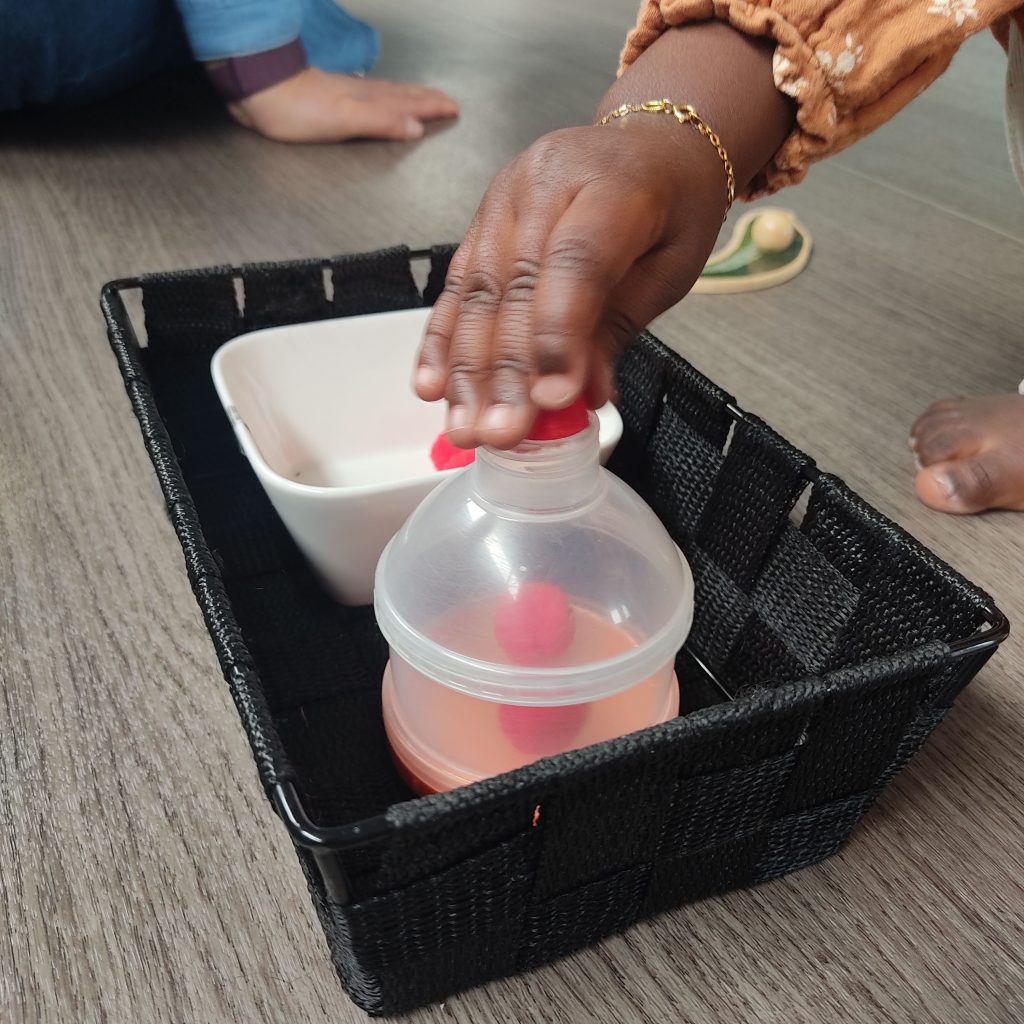 L’image actuelle n’a pas de texte alternatif. Le nom du fichier est : transvasement-de-pompon-2-scaled.jpg